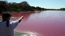 Autoridades de Paraguay investigan causas de lago teñido de rojo
