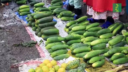 La ONU propone una renta básica para más de un tercio de la población mundial