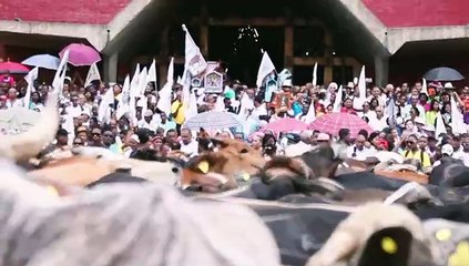 Los toros de Higüey