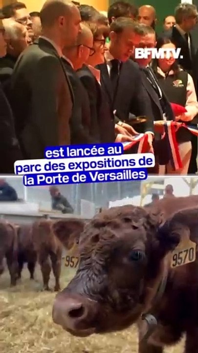 Mercosur, normes européennes et taxes Trump... Le Salon international de l'agriculture s'est ouvert ce samedi