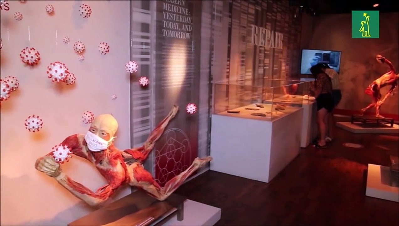 "Bodies", la exhibición de cuerpos humanos ahora expone efectos de COVID-19