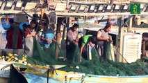 Israel prohíbe la pesca en Gaza en represalia a disparos de cohetes y globos incendiarios