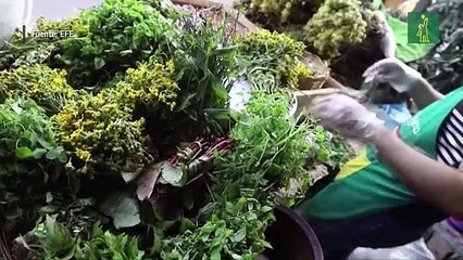 Paraguayos toman "carrulim" para enfrentar enfermedades en agosto