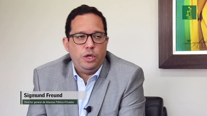 Sigmund Freund: "El gobierno no tiene pensado en ningún sector realizar privatizaciones"