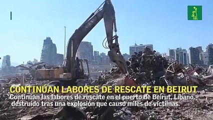 Continúan las labores de rescate en el puerto de Beirut destruido tras la explosión