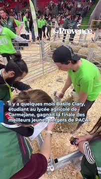 Cet étudiant dignois fait partie des meilleurs jeunes bergers de France