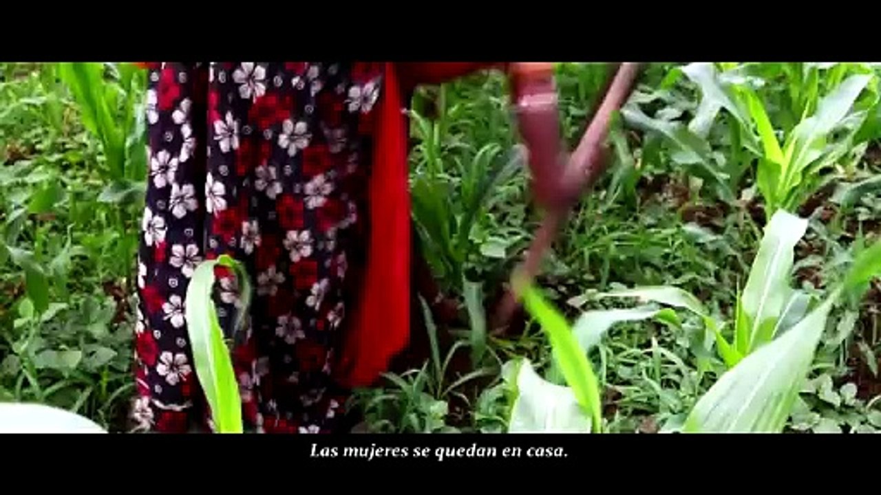 Morir antes de nacer