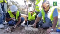 Tallas de piedra revelan prosperidad en la antigua Jerusalén