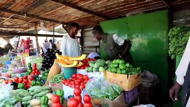 الحياة تعود ببطء إلى ود مدني بعد استعادة الجيش السوداني السيطرة عليها