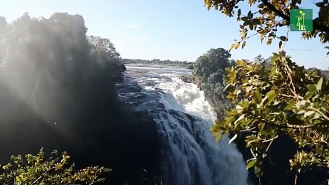 El tiempo se agota para evitar la sexta extinción masiva del planeta, según ONU