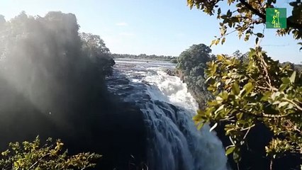 El tiempo se agota para evitar la sexta extinción masiva del planeta, según ONU