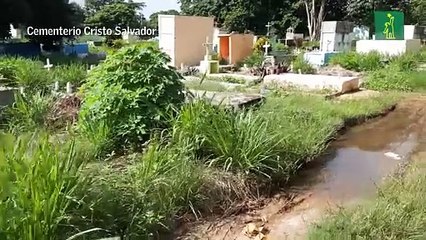 Día de los fieles difuntos en los cementerios Cristo Salvador y San Vicente de Paúl, en Los Mina