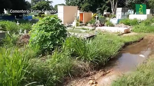 Día de los fieles difuntos en los cementerios Cristo Salvador y San Vicente de Paúl, en Los Mina