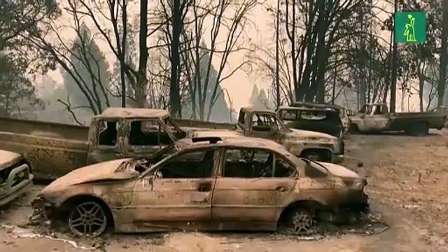 Cientos de evacuados en California por incendios azuzados por fuertes vientos