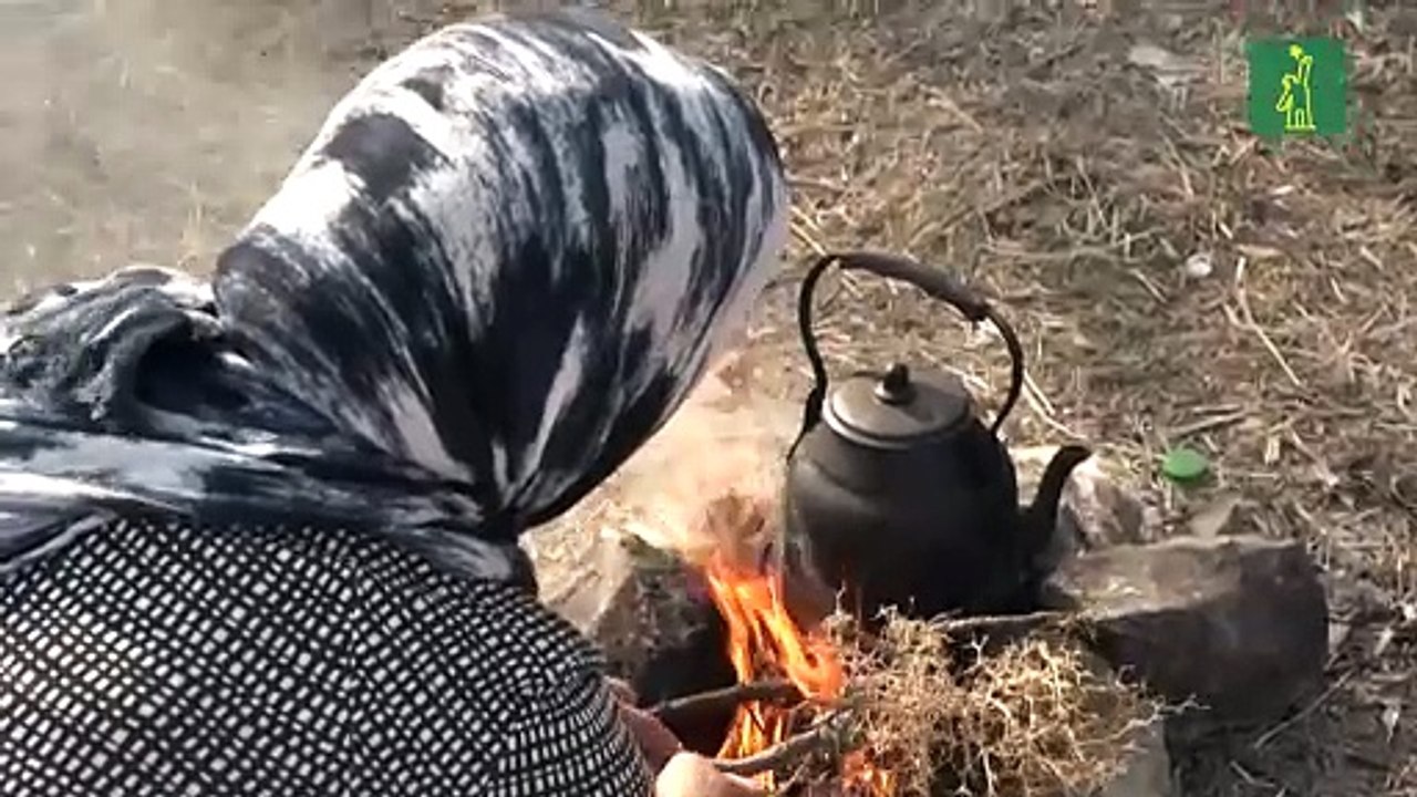 Alemania prevé recibir a 1.500 migrantes de las islas griegas