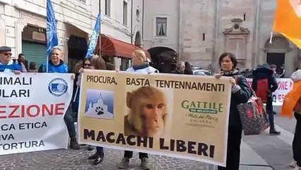 Protesta in piazza a Ferrara per liberare i macachi dell'Universit?