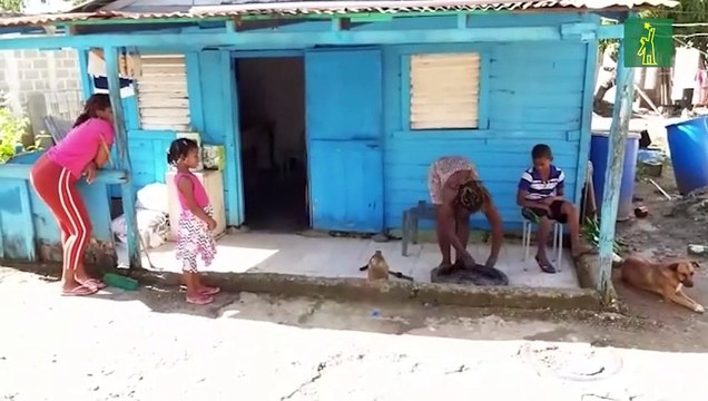 Así ven las madres de Malnombre, Haras Nacionales y Guaricano la educación a distancia