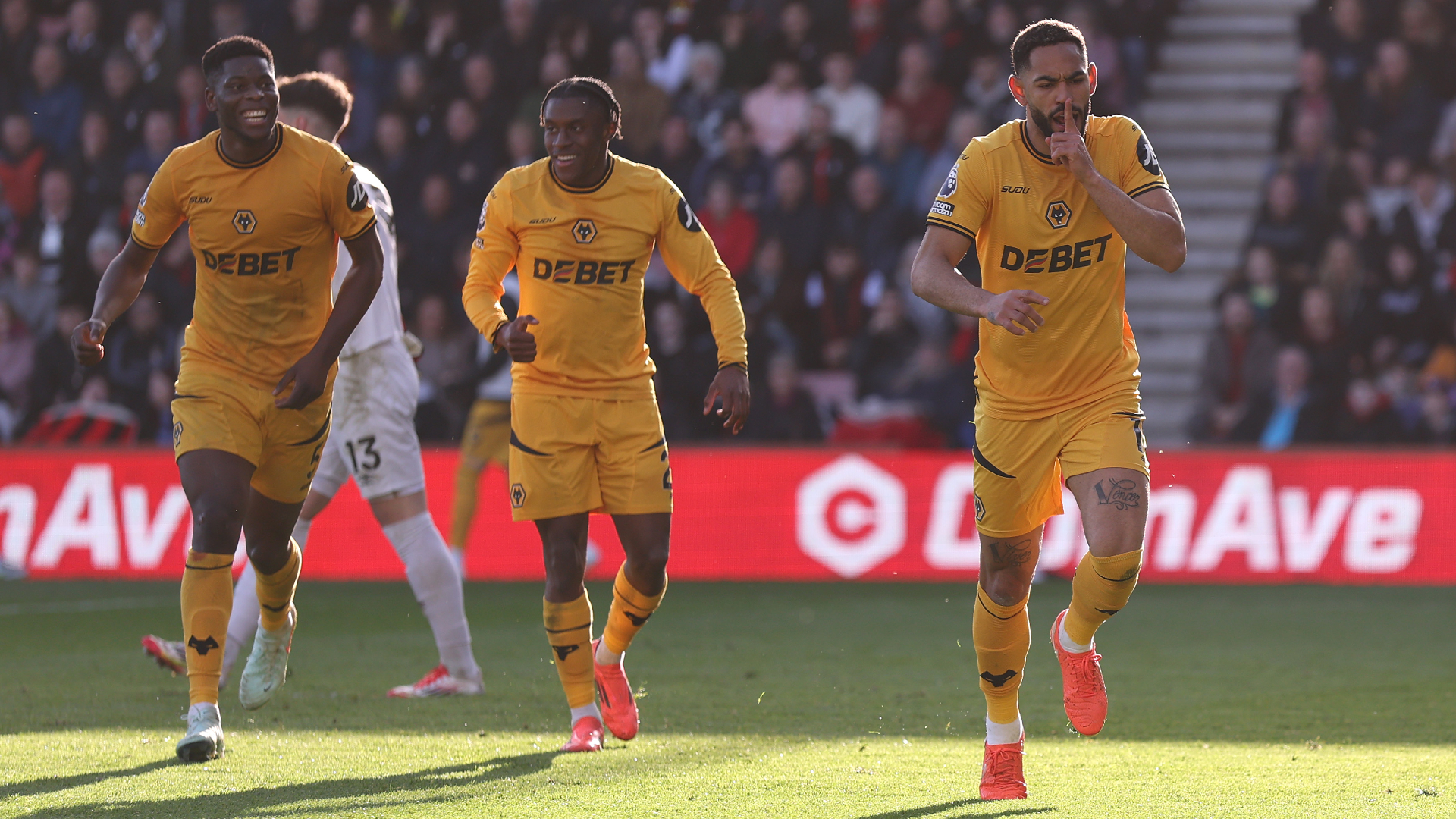 Bournemouth v Wolverhampton Wanderers