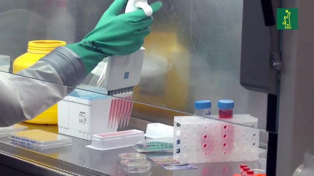 El virus de la COVID-19 puede sobrevivir 28 días a 20 grados, según estudio