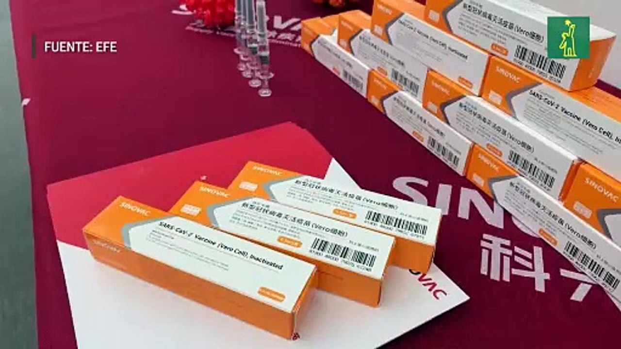 La china Sinovac prevé aplicar su vacuna masivamente a principios de 2021