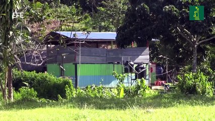 La medicina ancestral ayuda a combatir la covid en Amazonía de Ecuador