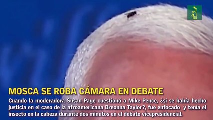 Mosca en cabeza de Mike Pence roba cámara en el debate vicepresidencial