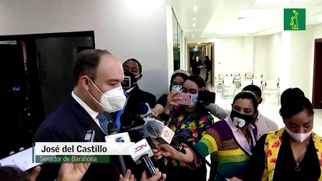 Castillo Saviñón considera segunda mayoría en Senado pertenece al PLD