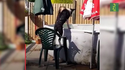 Caídas y más caídas