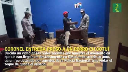 Coronel entrega preso a un perro en Cotuí que fue en busca de su amo