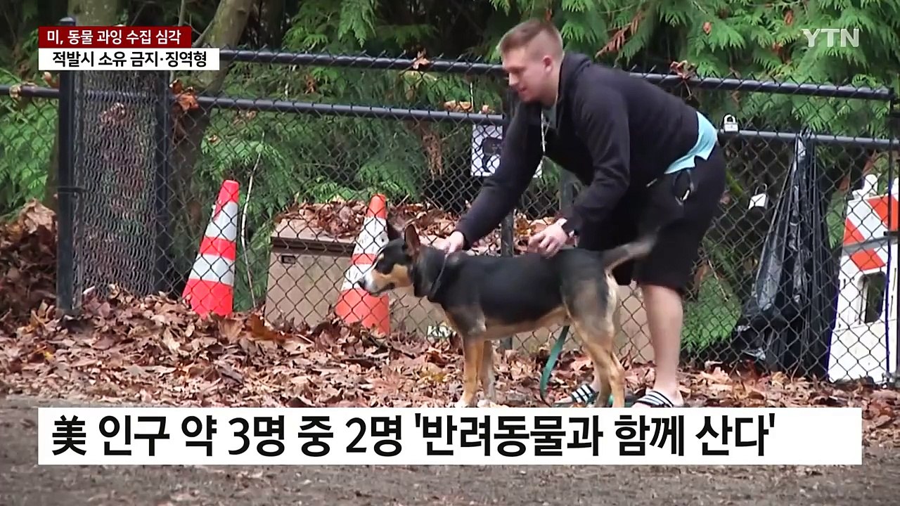 미국, 동물 복지 위협하는 '애니멀 호딩'으로 골머리 / YTN