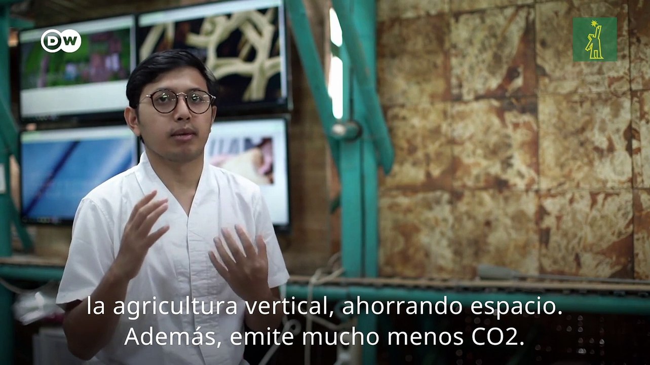 Zapatos hechos con piel de hongos, alternativa ecológica al cuero