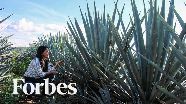 How Melly Barajas Built One Of Mexico's First Female-Owned Tequila Companies