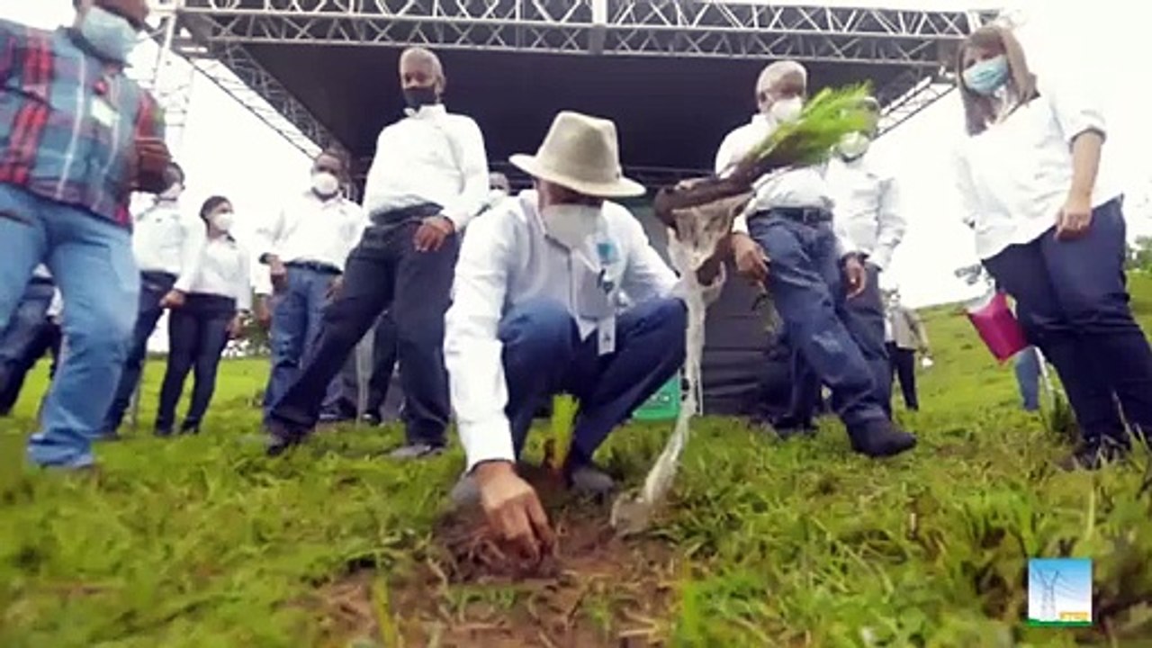 ETED realiza jornada de reforestación en San Cristóbal