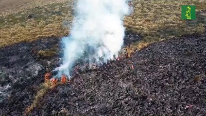 Incendio en un Parque Nacional de Ecuador amenaza con expandirse