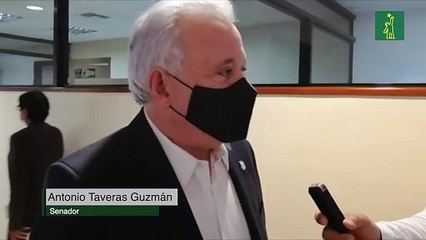 Comisión favorece Fuerza del Pueblo sea segunda mayoría en el Senado