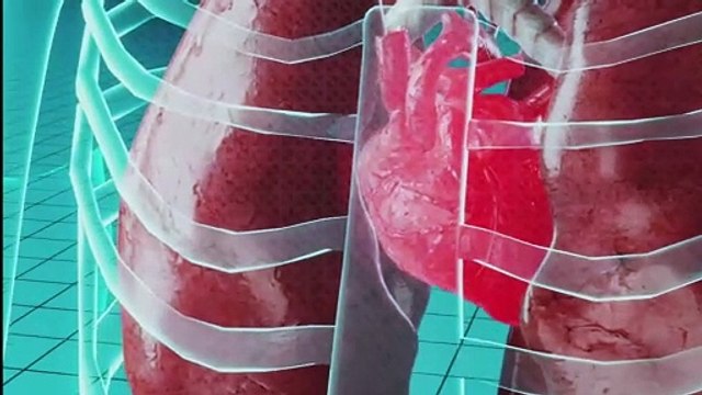 Necesitas un Nacho: Haigas o hayas , ¿cuál es correcta?