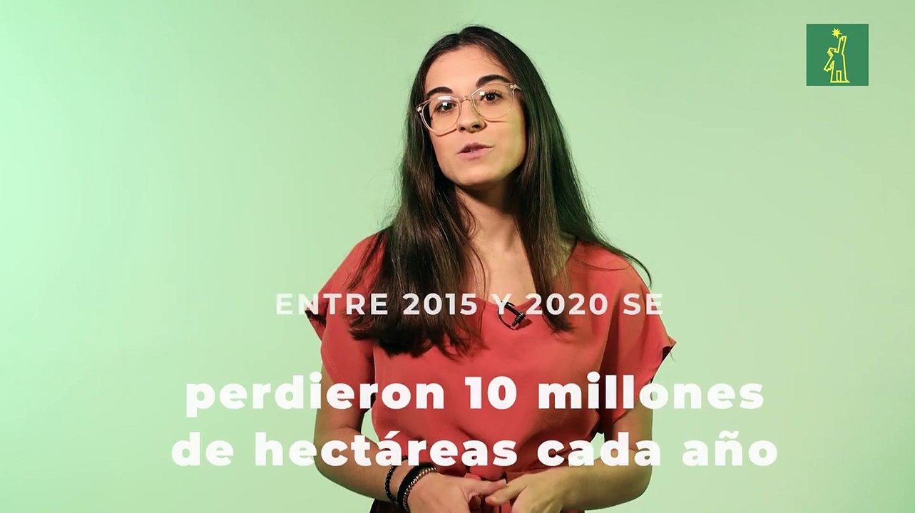 El problema de la deforestación