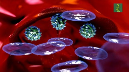 Así funcionan las vacunas