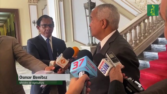 Osmar Benítez: El abastecimiento de pollo está garantizado