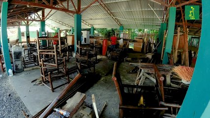 Acero verde: el bambú como alternativa sostenible