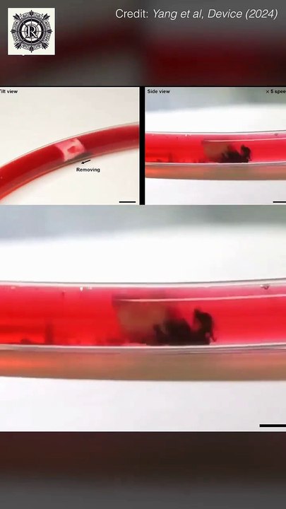Ant-Inspired Robots: The Future of Robotics? | #robotics #microrobots #medicine #manufacturing #environmentalcleanup #technology #innovation #engineering #futureoftechnology #science #swarmrobotics #artificialintelligence #ai #research #korea