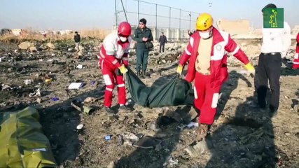 Irán efectúa varios arrestos relacionados con el derribo del avión