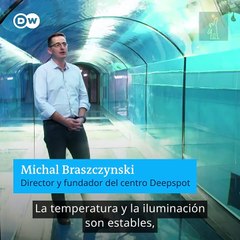 La piscina más profunda del mundo