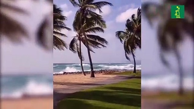 Fuerte oleaje en las costas dominicanas por ráfagas de viento