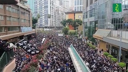 La Policía hongkonesa detiene a unas 400 personas durante marcha de Año Nuevo