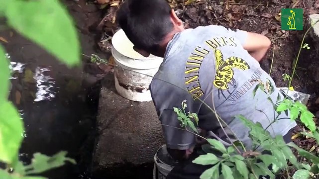 Honduras afronta la peor sequía en los últimos años