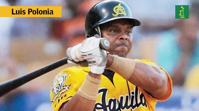 Los cinco mejores bateadores de Lidom según Bienvenido Rojas