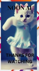 CAT DANCING OR BEAUTYFUL