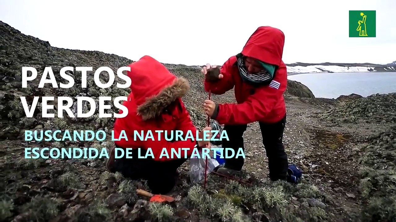 Pastos verdes, buscando la naturaleza escondida de la Antártida