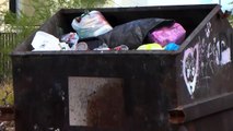 La recolección de basura en Nadadores será mediante contenedores